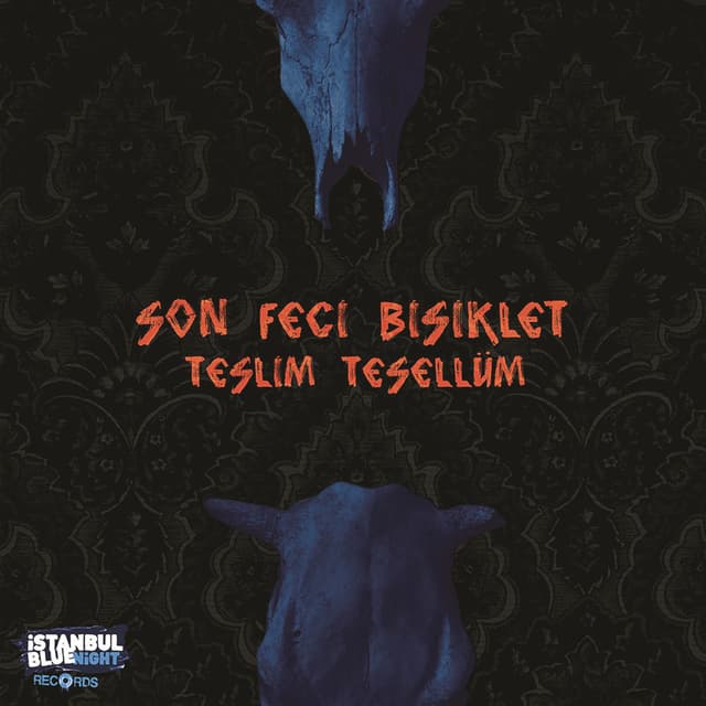 Teslim Tesellüm cover