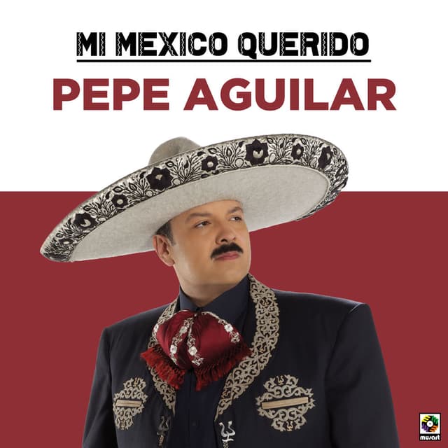 Mi Mexico Querido cover