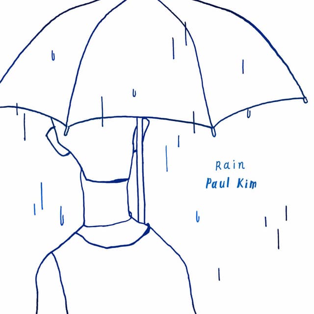 Rain cover
