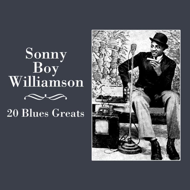 20 Blues Greats cover