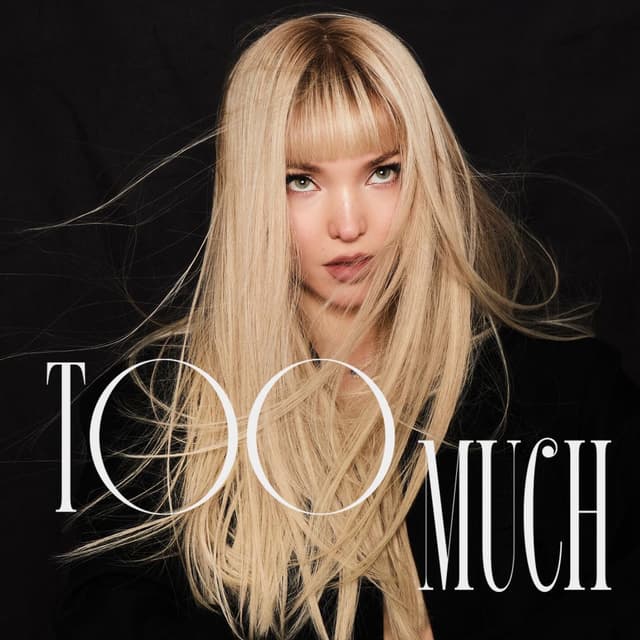 Too Much cover