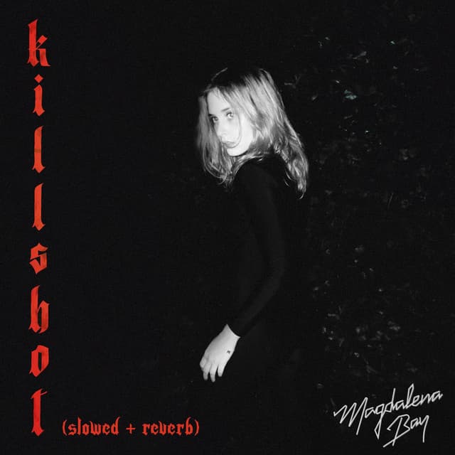 Killshot (Slowed + Reverb) cover