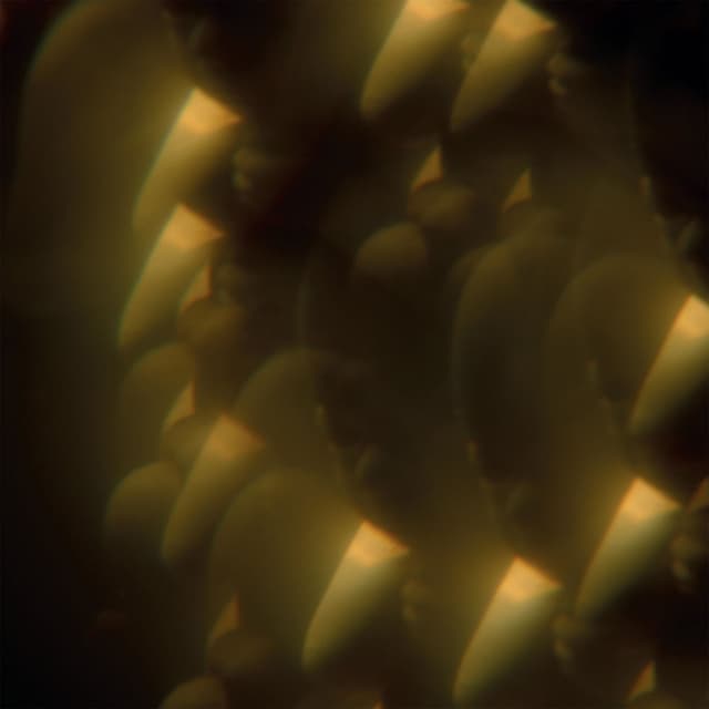 Music from 'Likely Stories' cover
