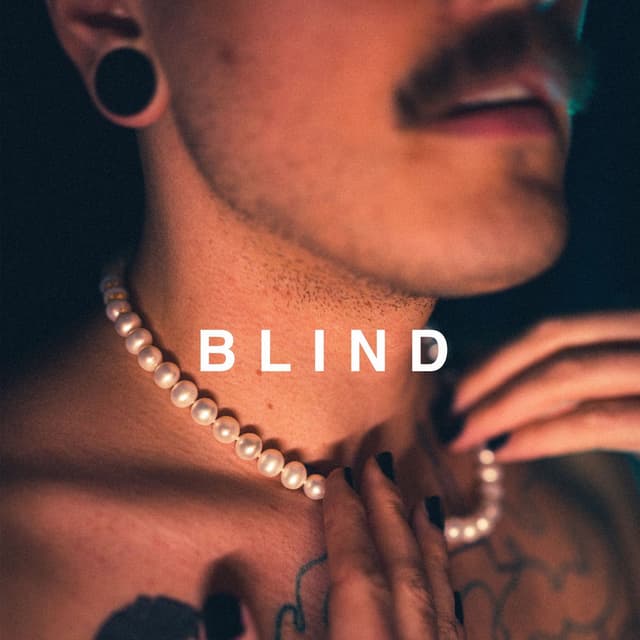 Blind cover