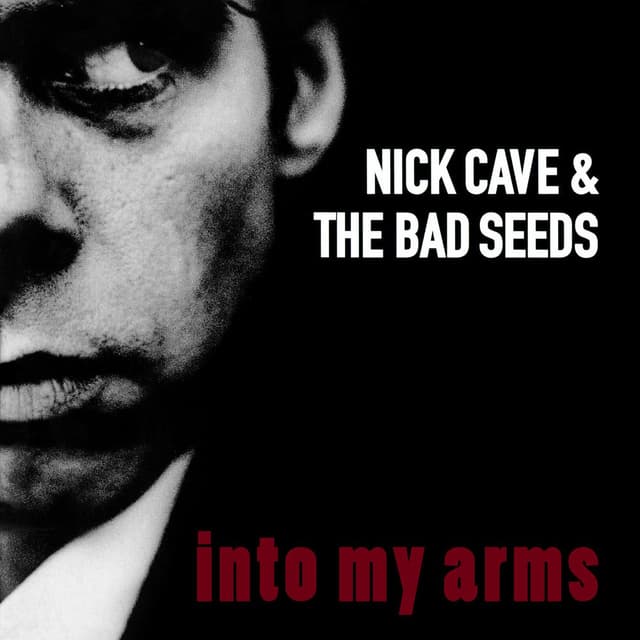 Into My Arms album cover