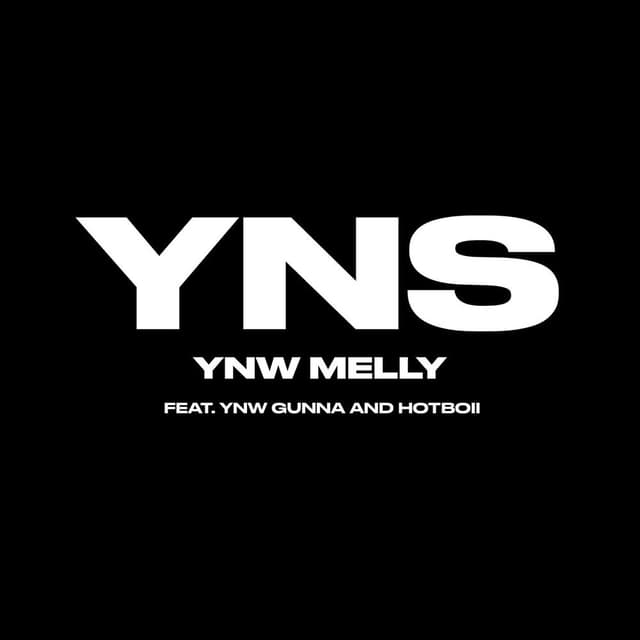 Yung Nigga Shit (feat. YNW Gunna & Hotboii) cover