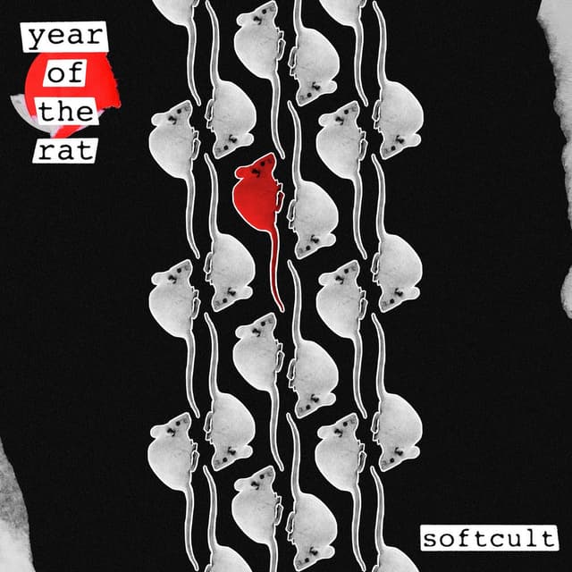 Year of the Rat cover