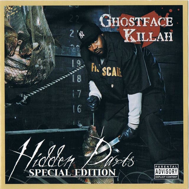 Hidden Darts Special Edition album cover