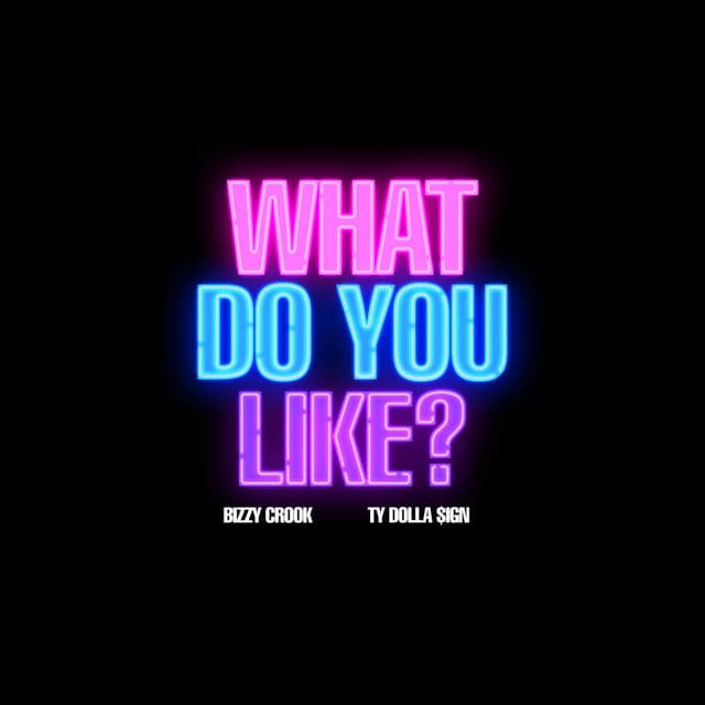 What Do You Like cover
