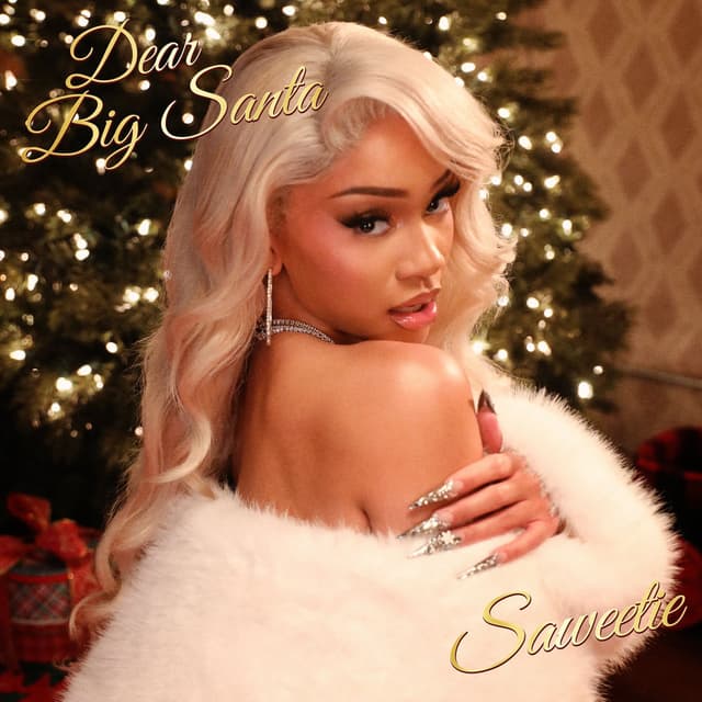 Dear Big Santa cover