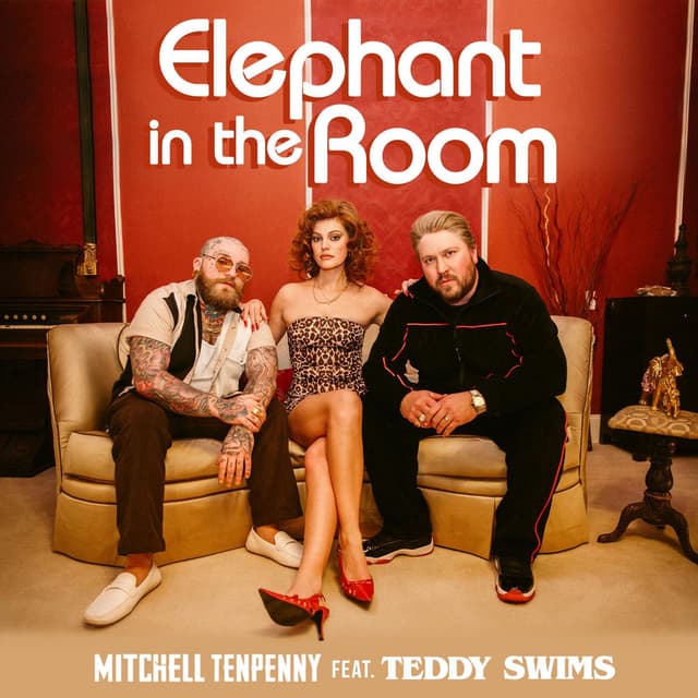 Elephant in the Room (feat. Teddy Swims) cover