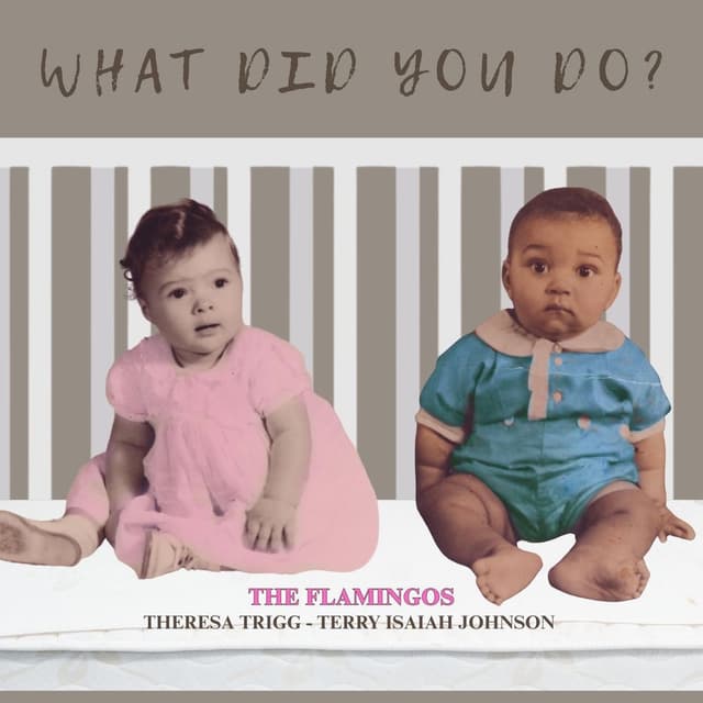 What Did You Do? cover