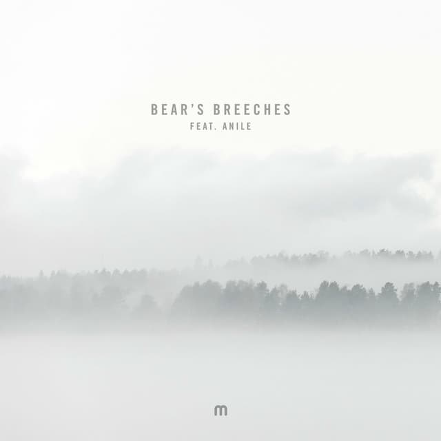 Bear's Breeches cover
