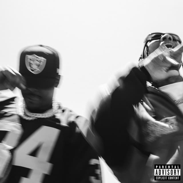 PLATINUM cover