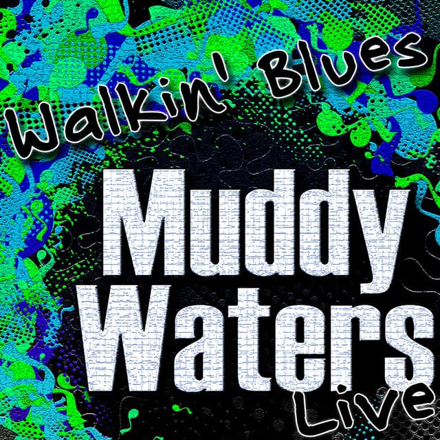 Walkin' Blues (Live) cover