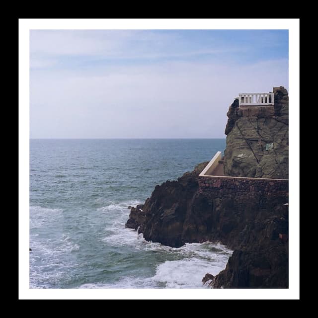 Survivor cover