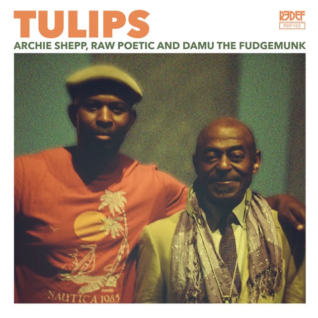 Tulips cover