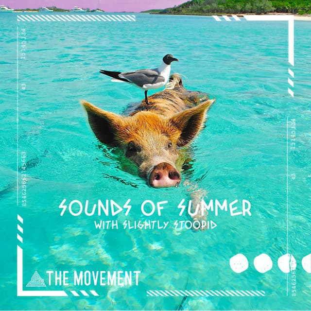 Sounds Of Summer cover