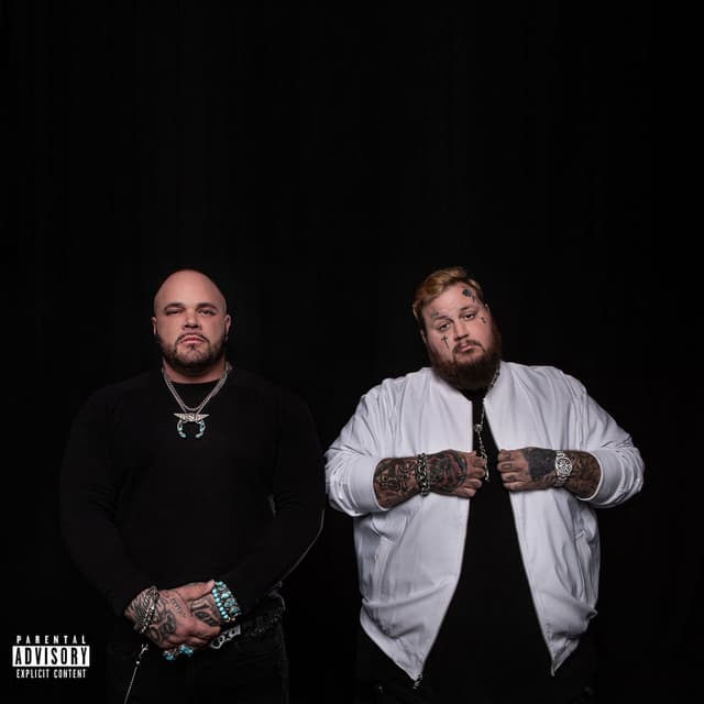 Waylon & Willie IV cover