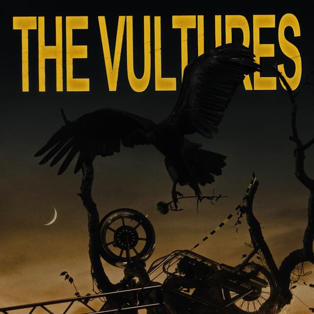 THE VULTURES cover