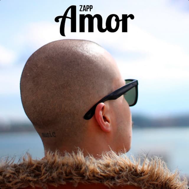 Amor cover