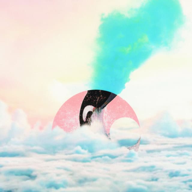 Don′t Forget cover