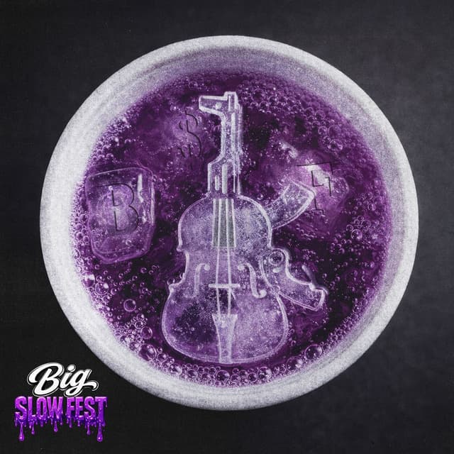 Big Slow Fest cover