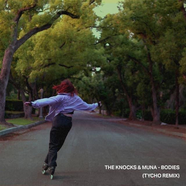 Bodies (Tycho Remix) cover