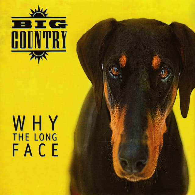 Why the Long Face cover