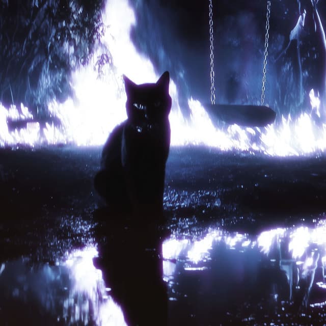 MI GATA cover