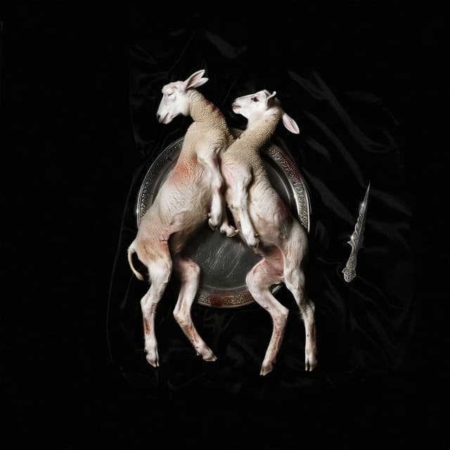 Scarlet Lamb cover