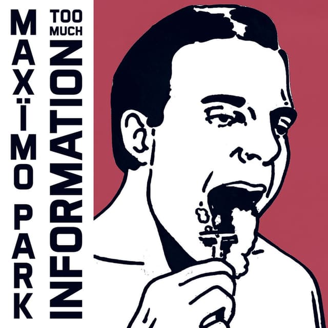 Too Much Information album cover