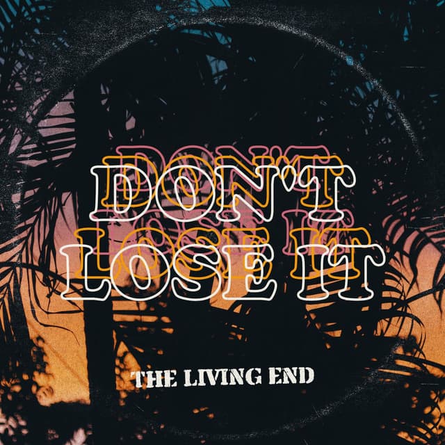 Don't Lose It cover
