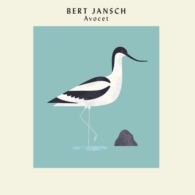 Avocet album cover