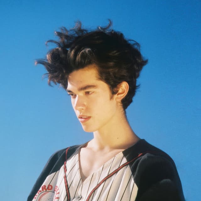 The King album cover