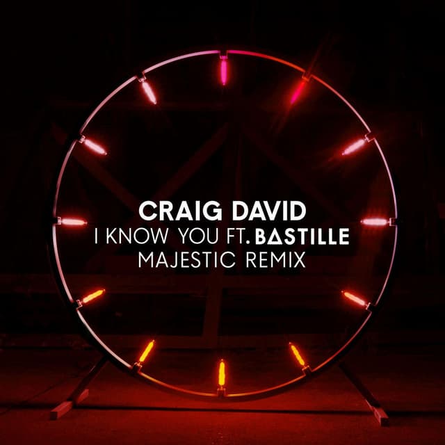 I Know You (feat. Bastille) (Majestic Remix) cover