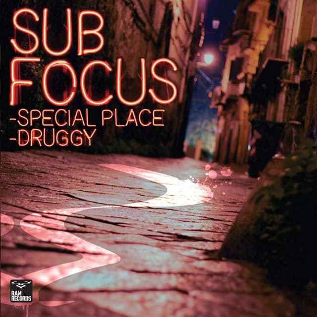 Special Place / Druggy cover