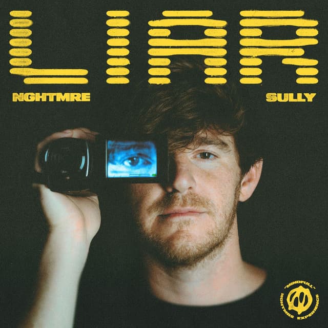 Liar cover