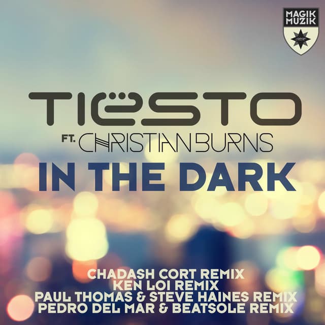 In the Dark (Remixes) cover