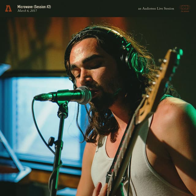 Microwave on Audiotree Live (Session #2) cover