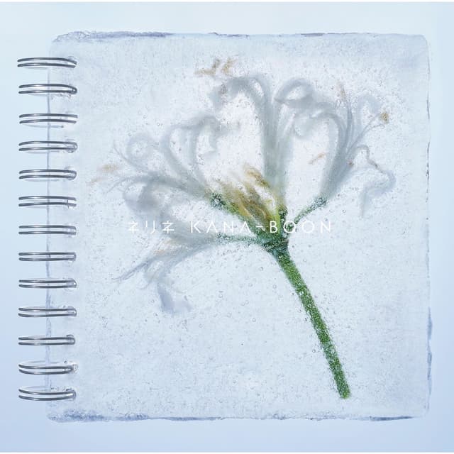 Nerine cover