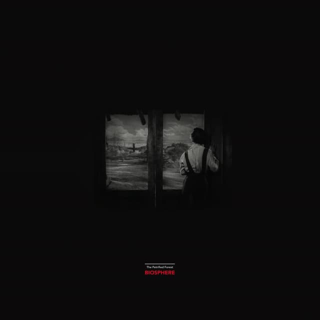 The Petrified Forest cover
