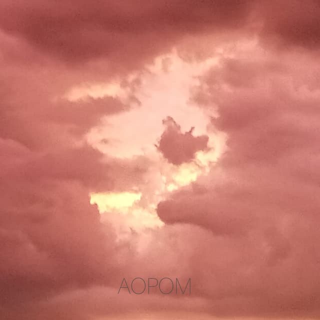 A.O.P.O.M cover