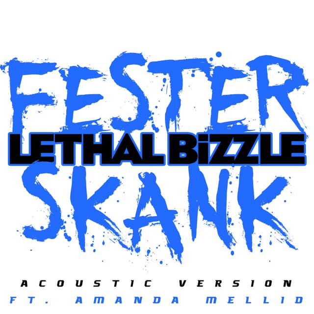 Fester Skank (Acoustic Version) cover