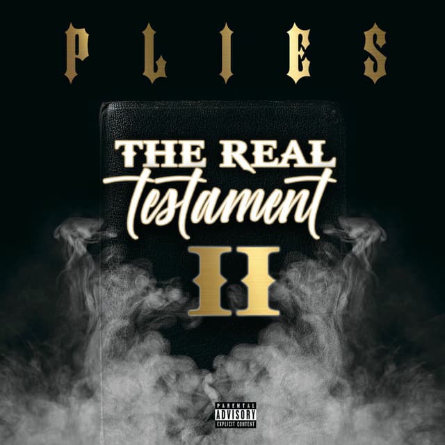 The Real Testament II cover