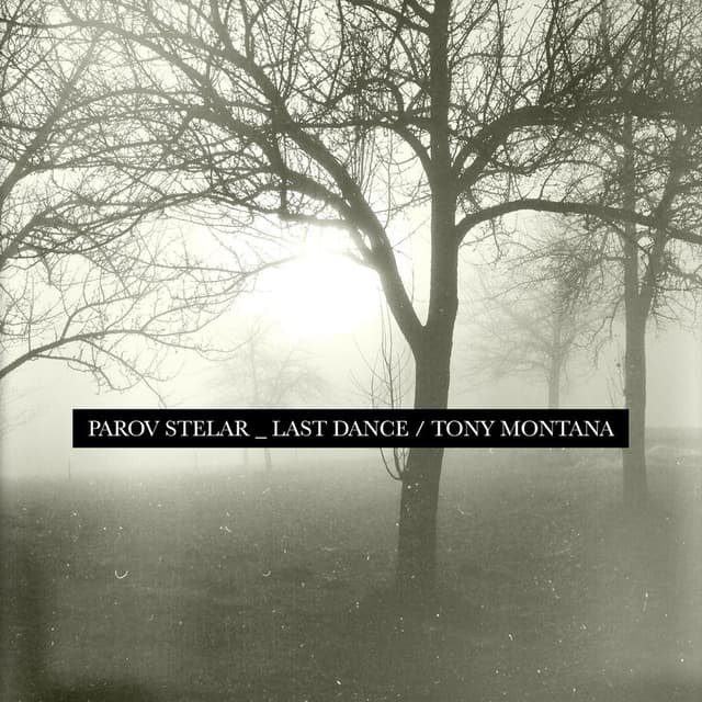The Last Dance / Tony Montana cover
