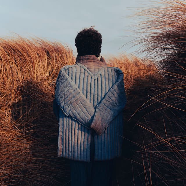 Pillars (Deluxe) cover