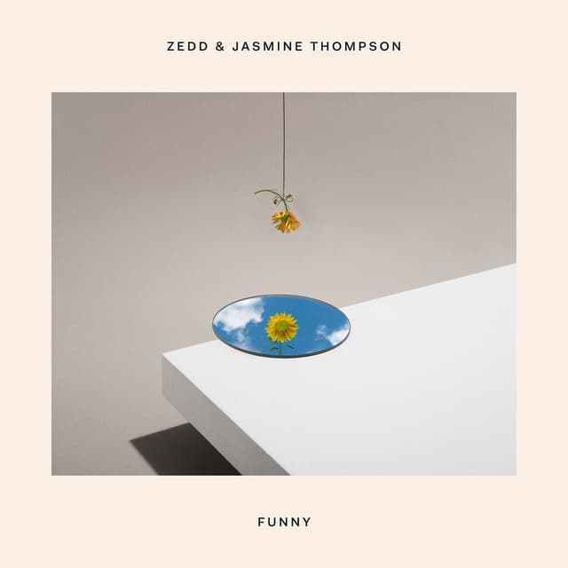 Funny cover
