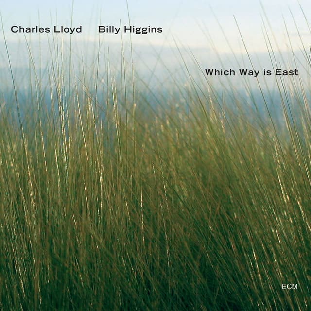 Which Way Is East cover