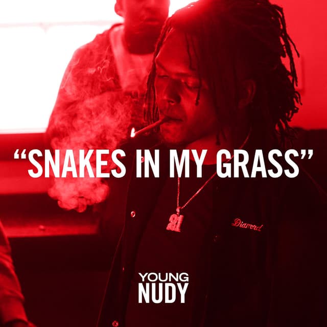 Snakes In My Grass cover